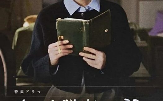 电影：某位小说家的日记 [2026]