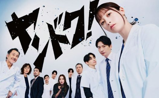 不良医生！ ヤンドク！ (2026) 桥本环奈/向井理    [1080p]  [日语中字] [日剧] [更新08集]