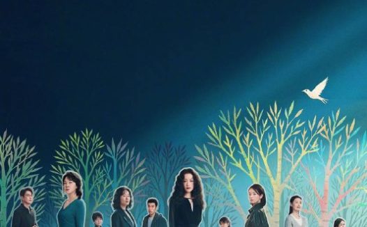 隐身的名字（2026）4K 臻彩MAX+ 60FPS 高码率 杜比环绕声&FLAC无损HiFi声  更至EP14