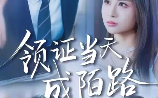 短剧《名称：领证当天成陌路 (39集) 姜博龙&李佳乐 | 短剧》全集免费在线观看