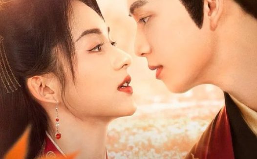 伴君如伴舞 4K臻彩MAX [HDR60fps][全24集]