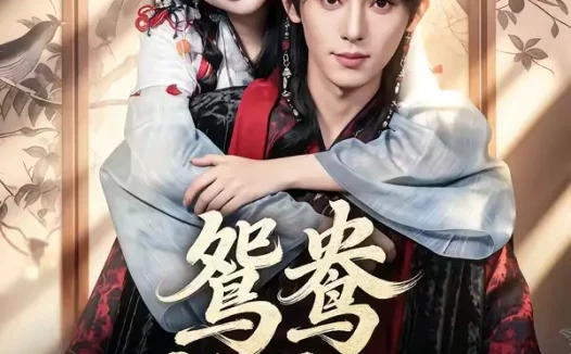 短剧《鸳鸯戏君心（60集）宋益凡＆金雅娜》全集免费在线观看