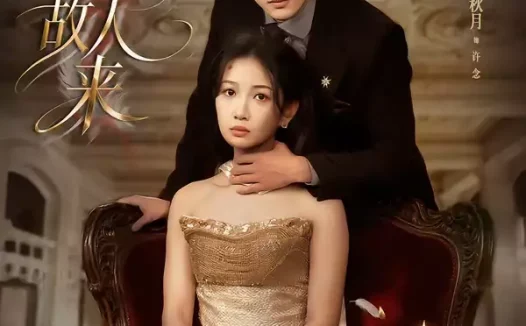 短剧《无人知是故人来(60集)秋月&陈钊翌》全集免费在线观看