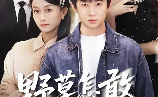 短剧《野草怎敢沐春风（61集）王楚＆周瑾阳》全集免费在线观看