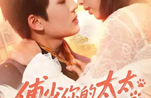 短剧《傅少，你的太太是只猫（64集）赵偲佟&向明》全集免费在线观看