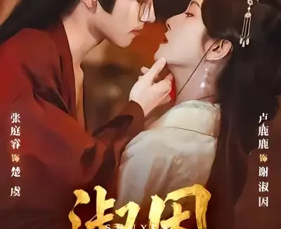 短剧《短剧-淑因（65集）张庭睿＆卢鹿鹿》全集免费在线观看