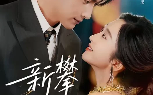 短剧《新攀旧爱(67集)王子林&鲁芳岐》全集免费在线观看