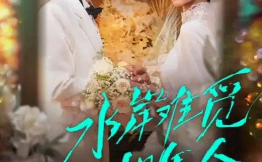 短剧《水岸难觅旧年人（68集）张磊＆宋佳音》全集免费在线观看