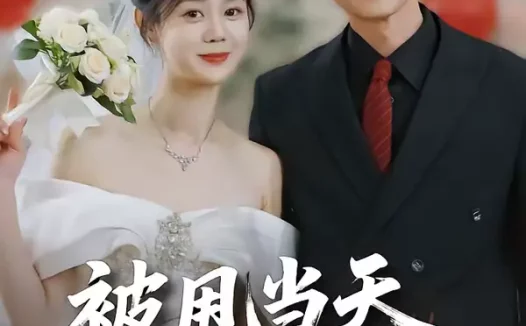 短剧《名称：被甩当天我带崽闪婚豪门 (70集) 宋晨&于雨桐 | 短剧》全集免费在线观看