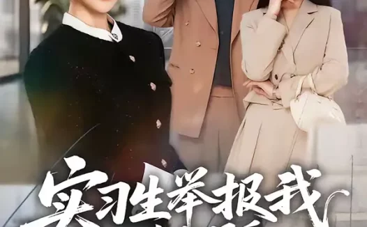 短剧《实习生举报我公车私用后,未婚夫却急了(70集)刘锟泓&宋晓》全集免费在线观看