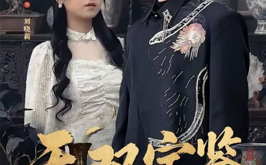 短剧《无双宝鉴（80集）张小磊＆邓靖》全集免费在线观看