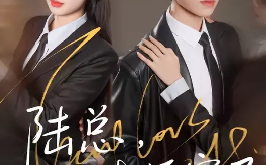 短剧《陆总,她又去拆家了(80集)白贯羽&吴飞雪》全集免费在线观看