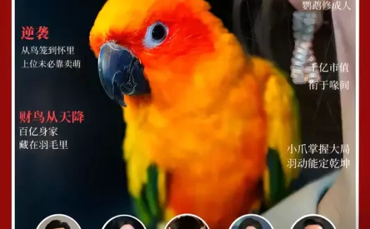 短剧《重生鹦鹉：总裁的异鸟老公（80集）卞菁＆郭嘉铭》全集免费在线观看