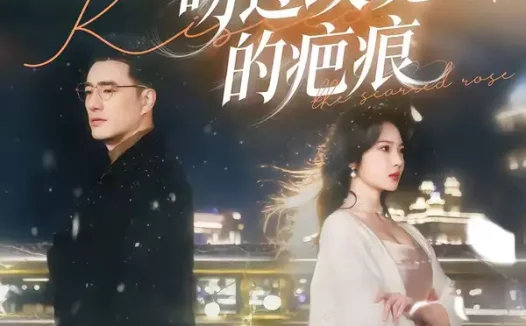 短剧《吻过玫瑰的疤痕（80集）高文炯＆杨梓依》全集免费在线观看