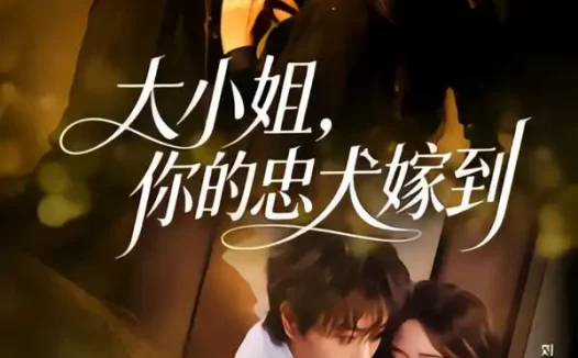 短剧《大小姐，你的忠犬嫁到（80集）王轩＆刘蓝鸽》全集免费在线观看