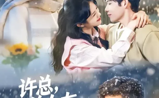 短剧《许总，前女友喊你别追了（80集）王淮璟＆麦伢》全集免费在线观看