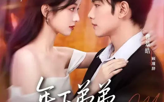 短剧《年下弟弟俯首称臣（81集）曹景皓＆易姝》全集免费在线观看