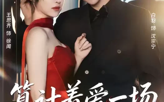 短剧《算计着爱一场（81集）白羽＆王思齐》全集免费在线观看