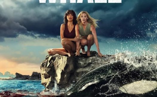 杀人鲸 Killer Whale (2026)