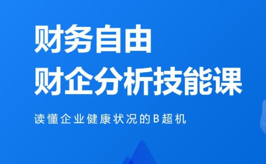微淼 – 财务报表分析技能课
