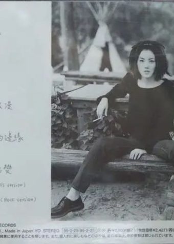 王菲 – 1994年专辑 – 讨好自己 Flac