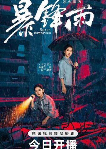 暴锋雨(2026)4K S01 HiveWeb