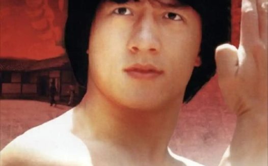 【原盘】龙拳 (1979) 1080P REMUX 国粤多音轨 中字外挂/内嵌字幕