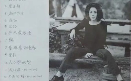 王菲 – 1994年专辑 – 讨好自己 Flac