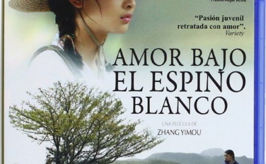 【原盘】山楂树之恋 (2010) 1080P REMUX 内封简繁英字幕