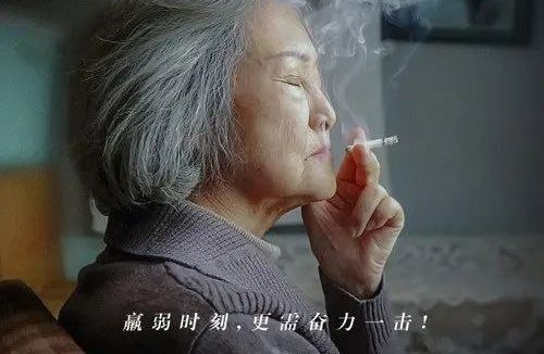 冰下的鱼 (2024) 4K