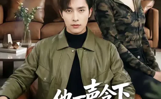 短剧《他一声令下四海皆震（50集）冯磊＆刘苗苗》全集免费在线观看