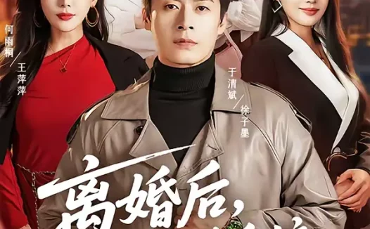 短剧《离婚后，我靠离谱系统风生水起（82集）于清斌＆何雨桐》全集免费在线观看