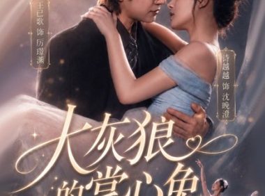 短剧《大灰狼的掌心兔（67集）王已歌＆诗越越》免费观看全集