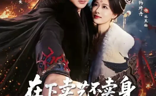 短剧《在下卖艺不卖身，王妃别加钱了（68集）韩叙＆陈杨婷丹》免费观看全集