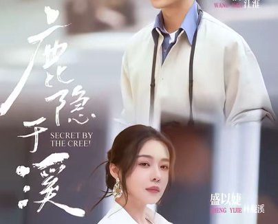 短剧《鹿隐于溪（63集）王楠＆盛以婕》免费观看全集