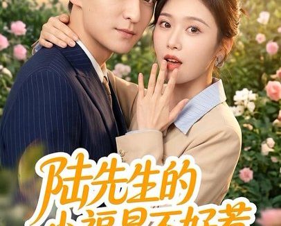 短剧《陆先生的小福星不好惹（56集）肖涵＆何为》免费观看全集