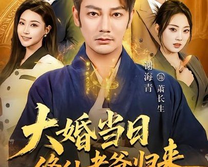 短剧《大婚当日修仙老爸归来(82集)谢海青&瑞子》免费观看全集