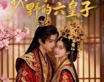 短剧《大婚当日，我改嫁权倾朝野的六皇子（30集）AI短剧》免费观看全集