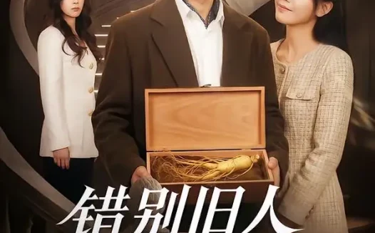 短剧《错别旧人遇婉晴（79集）》免费观看全集