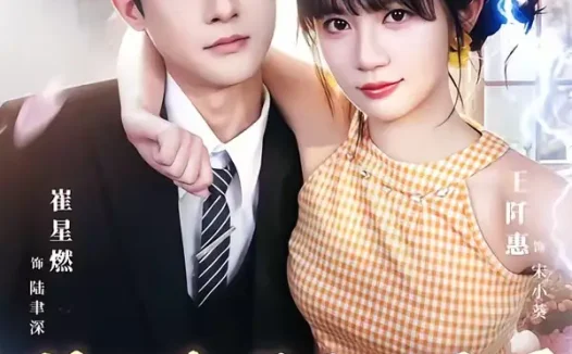 短剧《陆先生，你家小保姆武力值爆表（96集）崔星燃＆王仟惠》免费观看全集