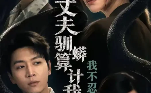 短剧《丈夫驯蟒算计我,我不忍了(68集)姜昊旻&张晓楠&马骏熙&闫思柔》免费观看全集