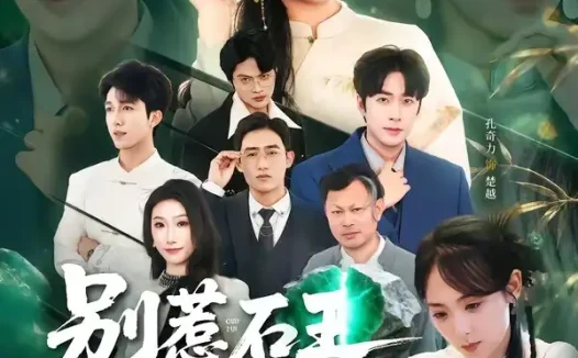 短剧《别惹石王二小姐(60集)李雪阳&孔奇力》免费观看全集