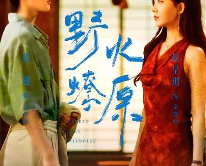 短剧《野火燎原(72集)张翅&侯呈玥》免费观看全集
