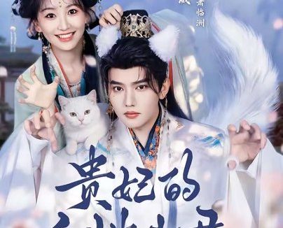 短剧《贵妃的白猫夫君(81集)王宇威&金子璇》免费观看全集