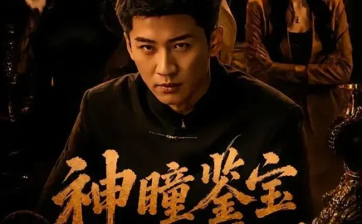 短剧《神瞳鉴宝:我来护你家族周全(67集)苏泓奕&刘爽》免费观看全集