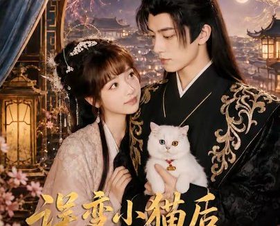 短剧《误变小猫后我成陛下掌心娇(60集)王康&杨琳(1080P)》免费观看全集