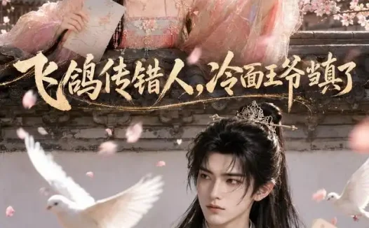 短剧《飞鸽传错人冷面王爷当真了 (33集)》免费观看全集