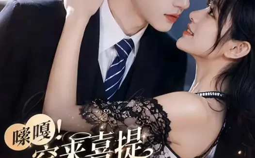 短剧《嗦嘎穿来喜提离婚协议和好大儿 (80集)》免费观看全集