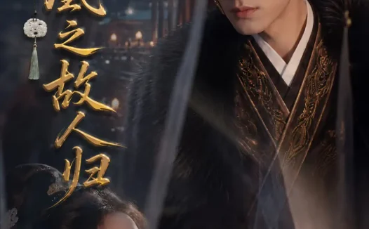 短剧《凤求凰之故人归 (81集)》免费观看全集