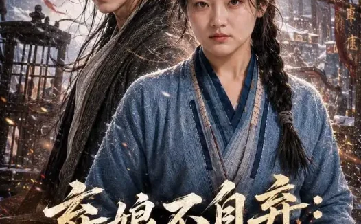 短剧《弃娘不自弃悍妻挽将星 (134集)》免费观看全集